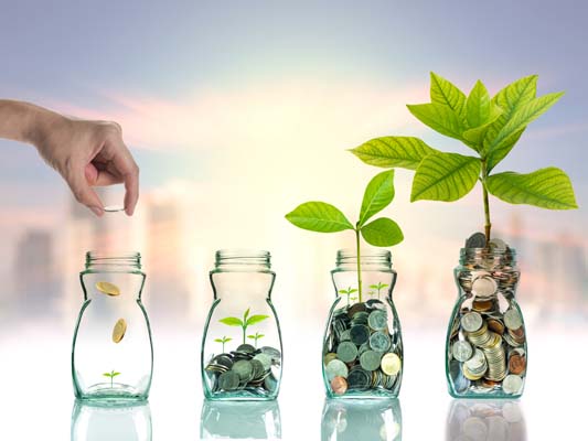 Investing Basics: 4 Ways to Grow Your Money Investing Basics: 4 Ways to Grow Your Money